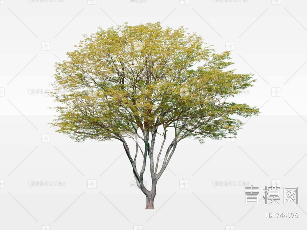 2D树 2D树木 景观树SU模型下载【ID:744396】
