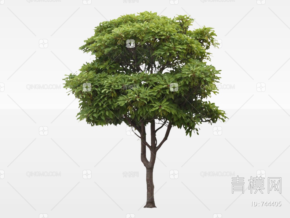 2D树 2D树木 景观树SU模型下载【ID:744405】