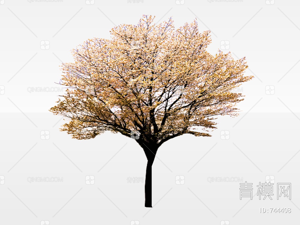 2D树 2D树木 景观树SU模型下载【ID:744408】