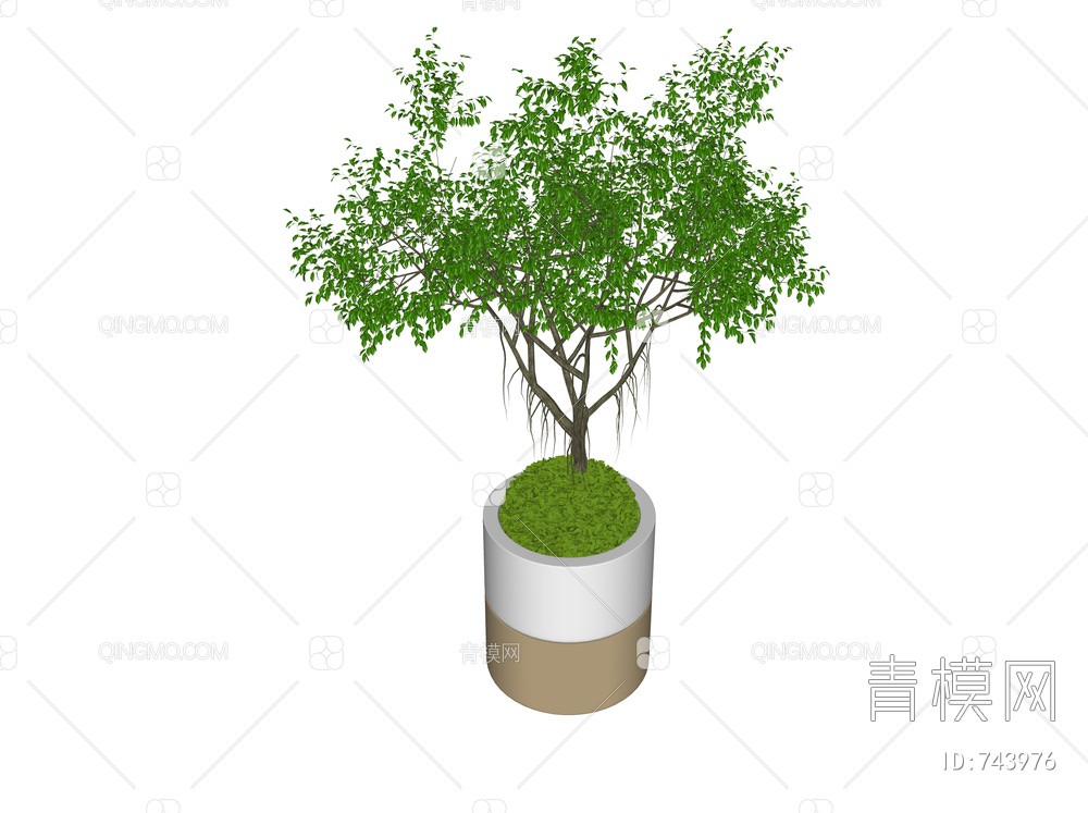 植物盆栽植物摆件SU模型下载【ID:743976】