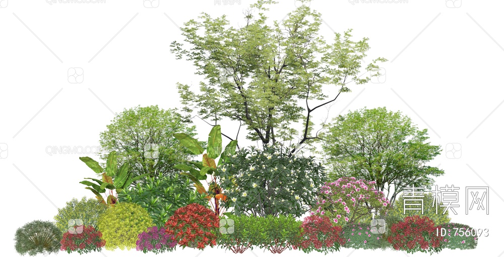 景观树 植物组团 示范区景观树 球形灌木SU模型下载【ID:756093】