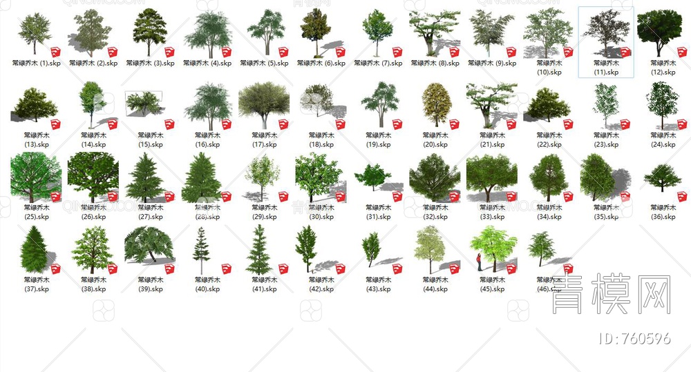 2D树 常绿树 常绿乔木SU模型下载【ID:760596】