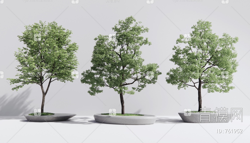 景观树 树池SU模型下载【ID:761952】