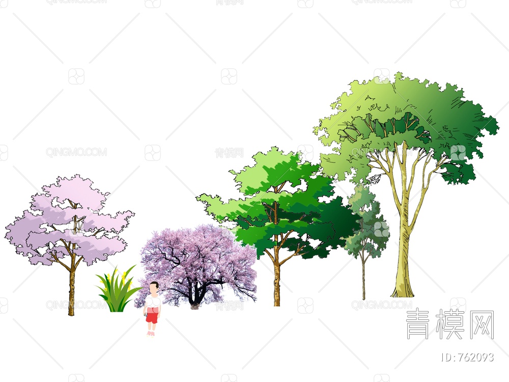 2D树 手绘树 2D植物SU模型下载【ID:762093】