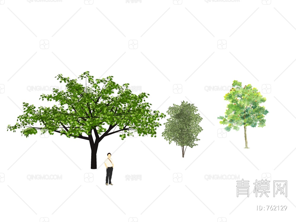 2D树 手绘树 2D植物SU模型下载【ID:762129】