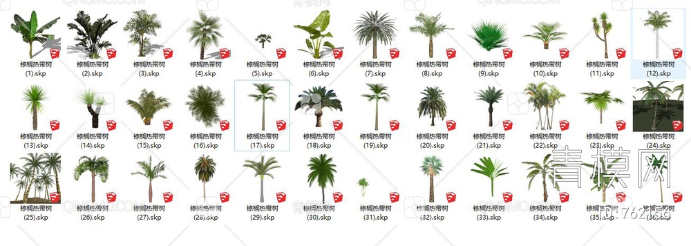 棕榈  热带植物SU模型下载【ID:762156】