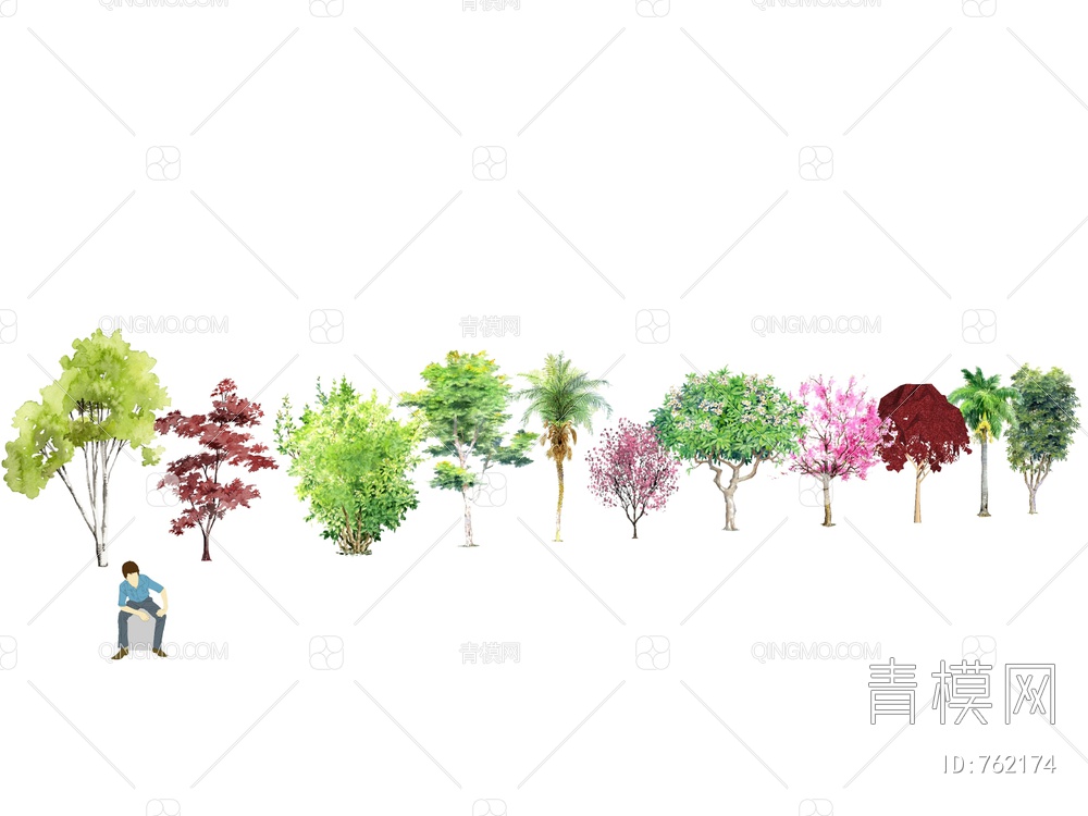 2D树 手绘树 2D植物SU模型下载【ID:762174】