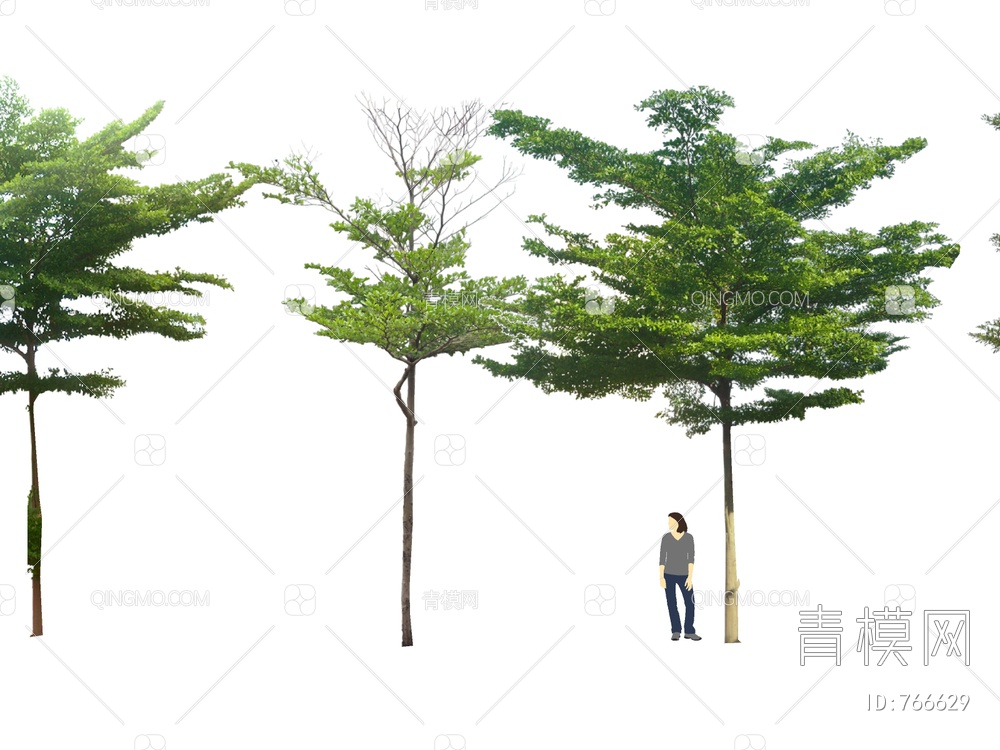 2D景观树  树SU模型下载【ID:766629】