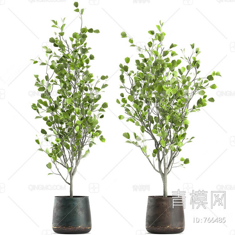 盆栽 植物3D模型下载【ID:766485】