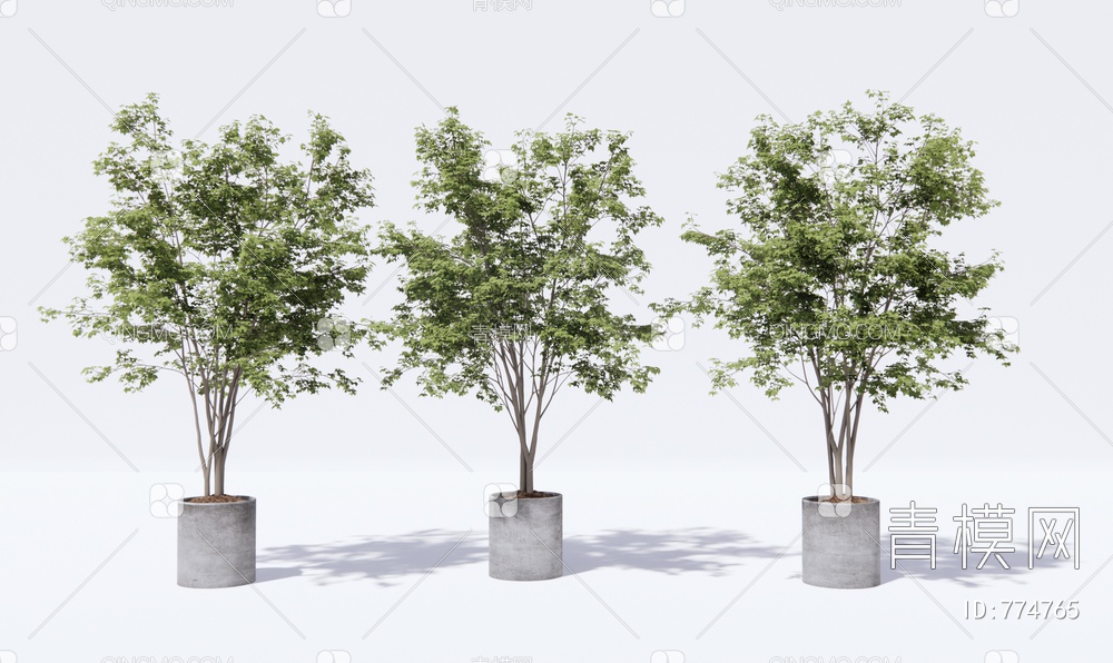 植物盆栽 树木SU模型下载【ID:774765】