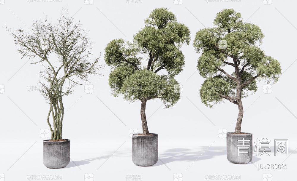 植物盆栽 树木 盆景SU模型下载【ID:780021】