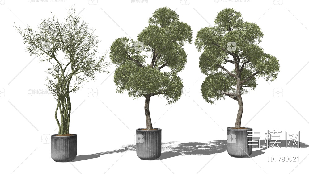 植物盆栽 树木 盆景SU模型下载【ID:780021】