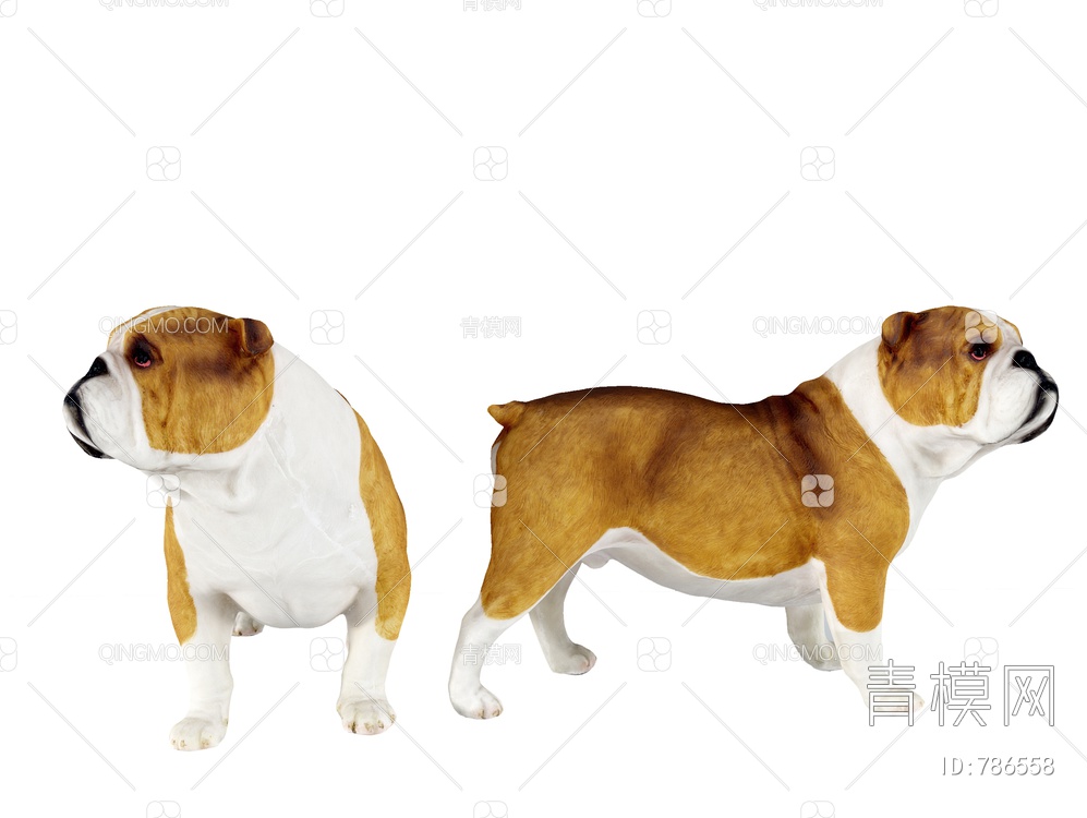狗,宠物狗3D模型下载【ID:786558】