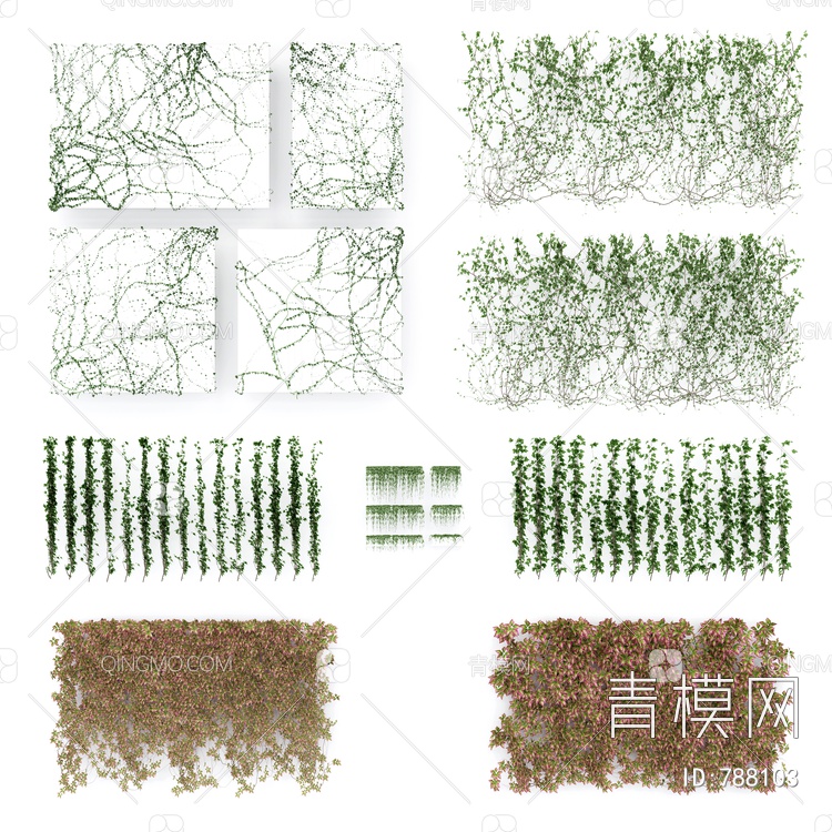 藤蔓,植物,户外墙壁3D模型下载【ID:788103】