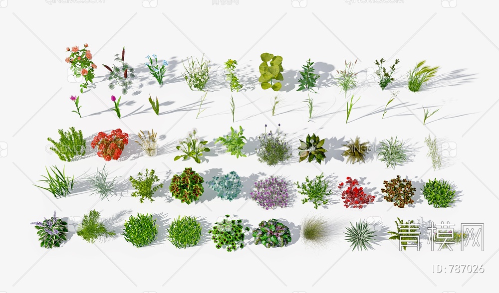 灌木,植物，绿植草3D模型下载【ID:787026】