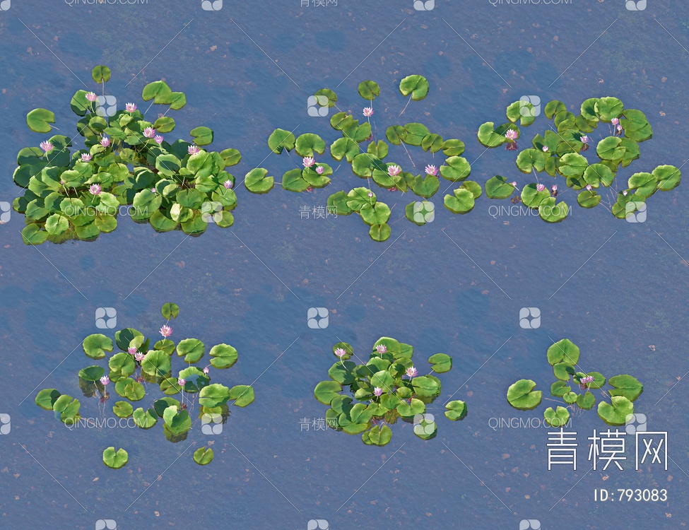 水生植物睡莲，荷花荷3D模型下载【ID:793083】