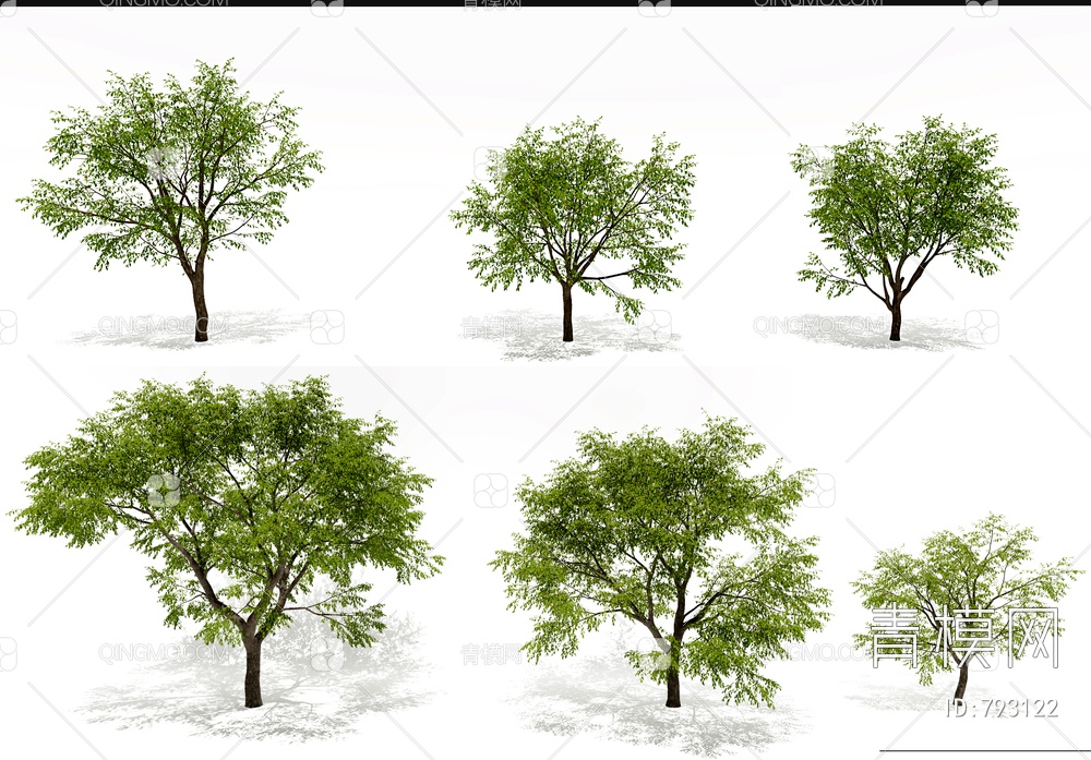 枣树景观树3D模型下载【ID:793122】