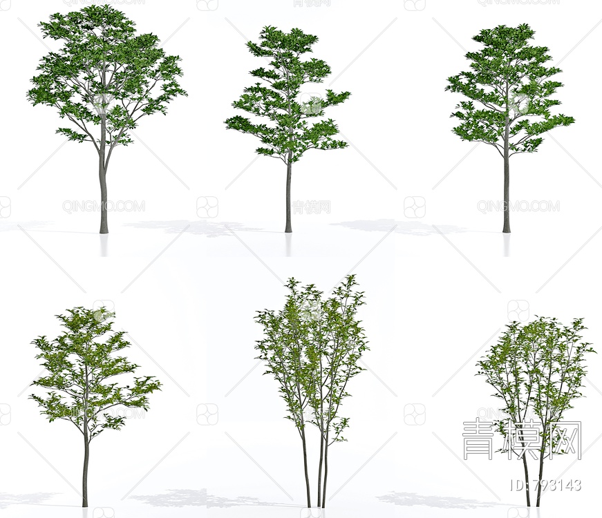紫玉兰树 景观树3D模型下载【ID:793143】