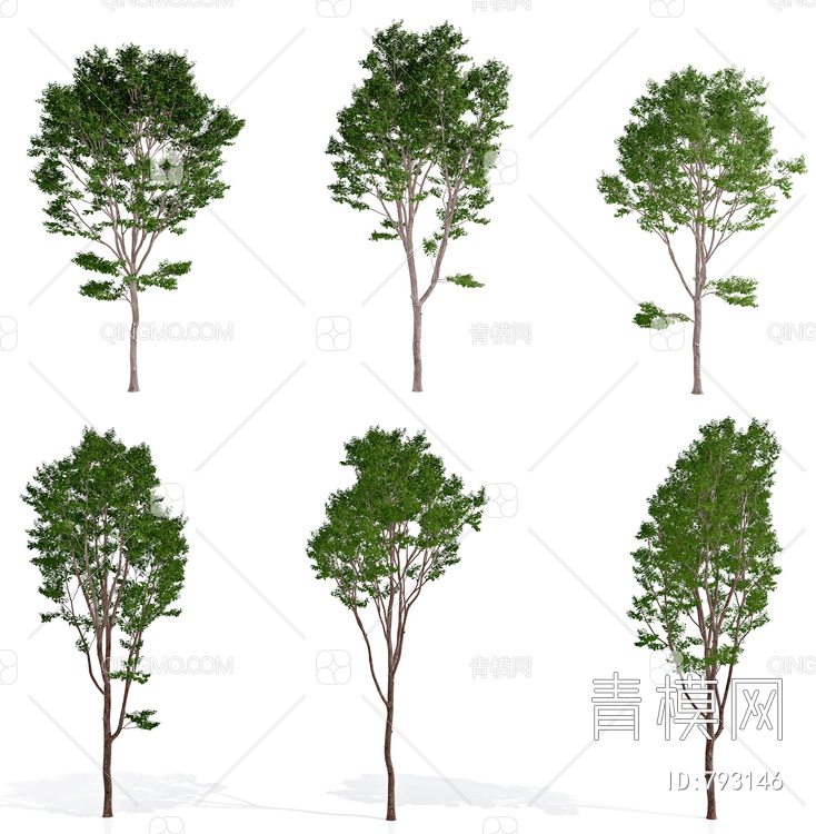 景观树3D模型下载【ID:793146】