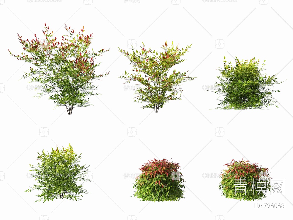 南天竺灌木植物3D模型下载【ID:796068】
