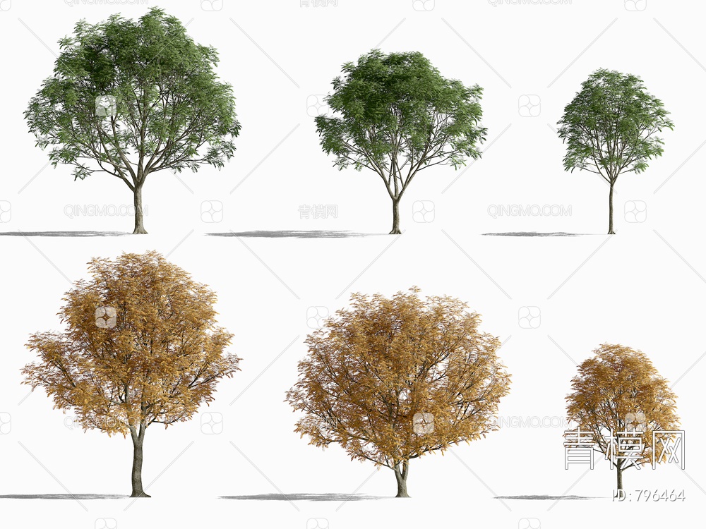 景观树枯树3D模型下载【ID:796464】