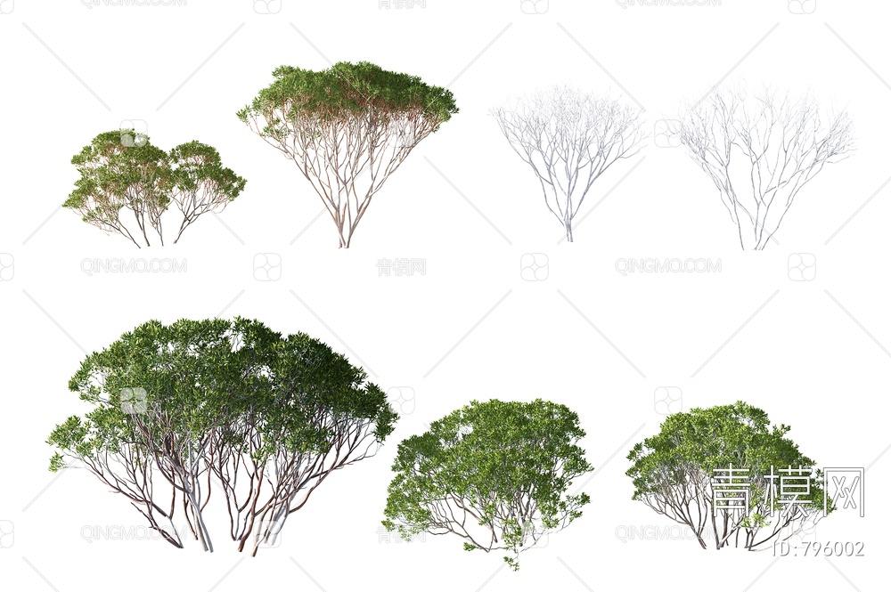 红树灌木,3D模型下载【ID:796002】