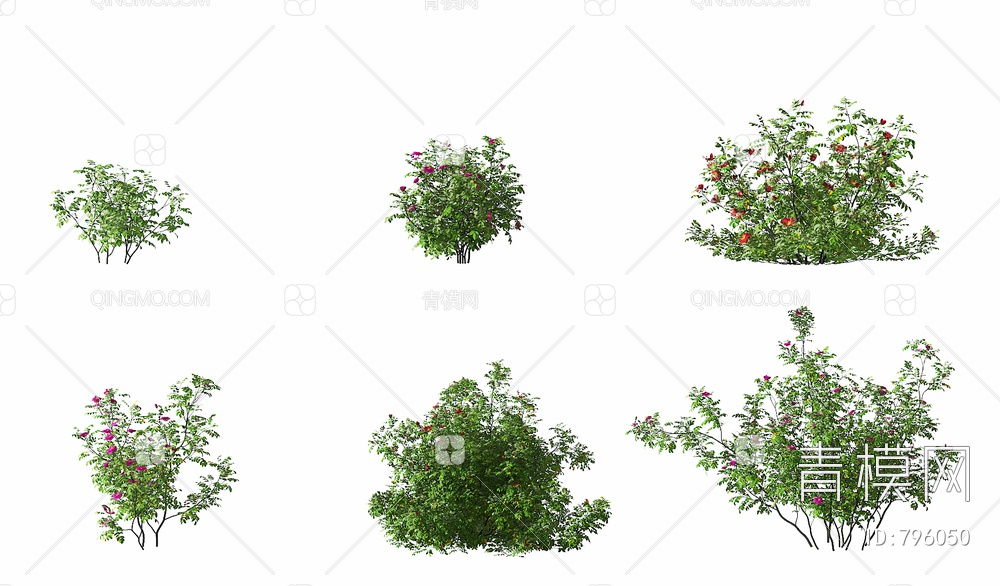 玫瑰灌木,3D模型下载【ID:796050】