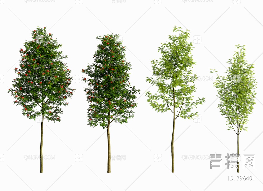 景观树,3D模型下载【ID:796401】