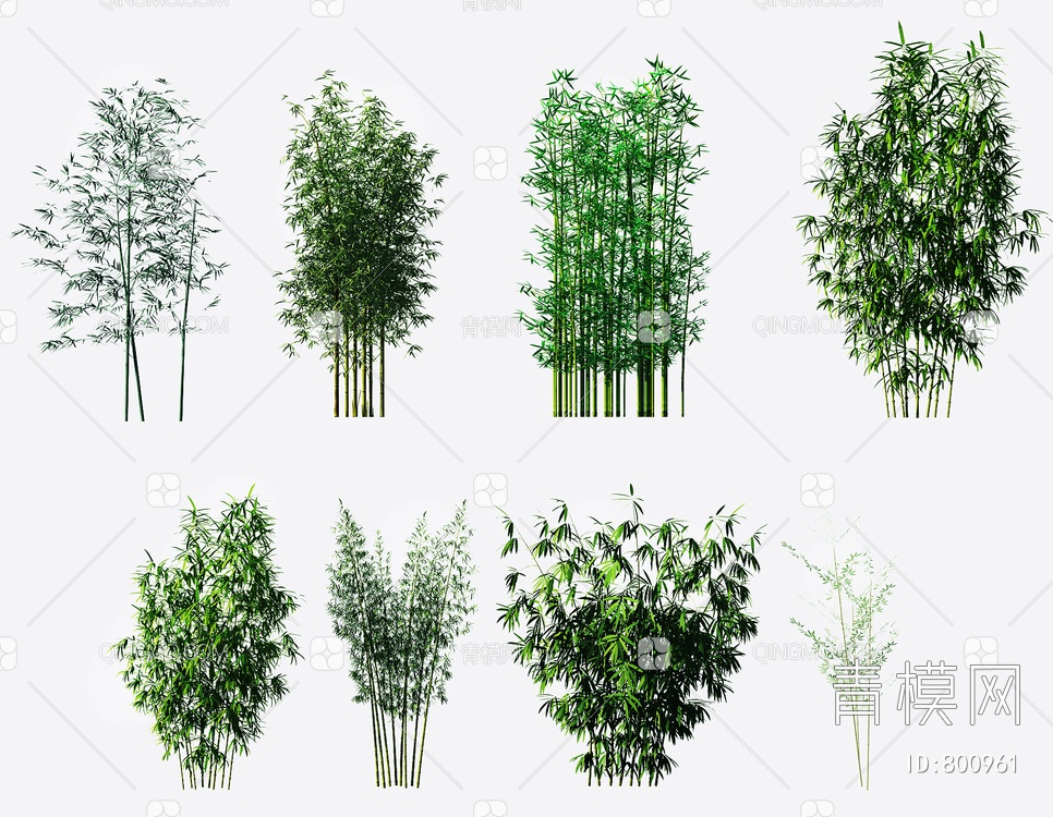 绿植竹子3D模型下载【ID:800961】