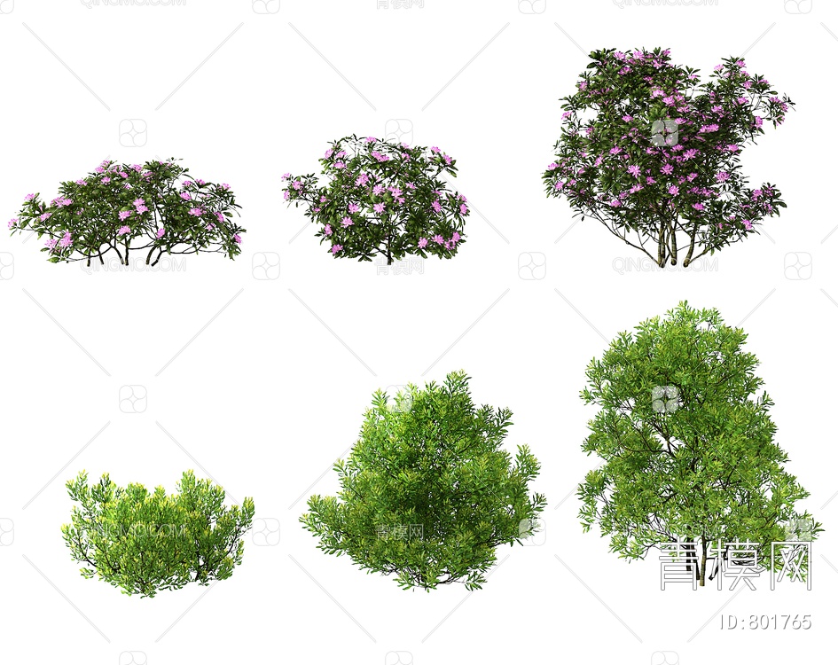 灌木植物,绿植3D模型下载【ID:801765】