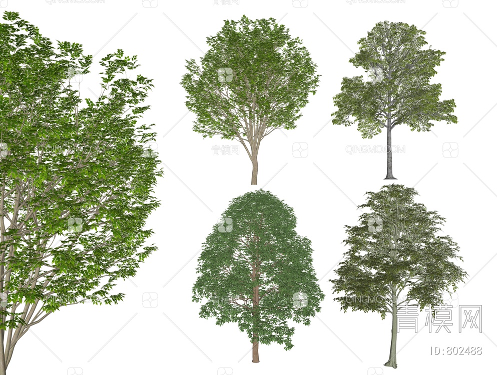 景观树 造型树 乔木SU模型下载【ID:802488】