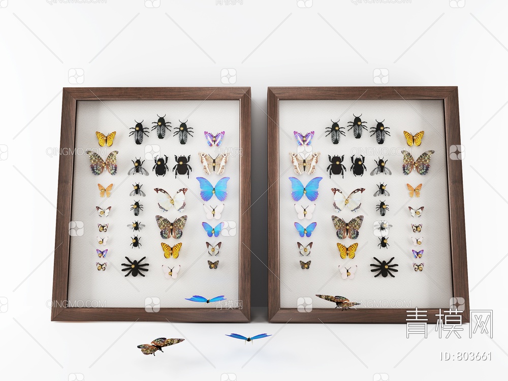 蝴蝶 昆虫标本 挂件3D模型下载【ID:803661】