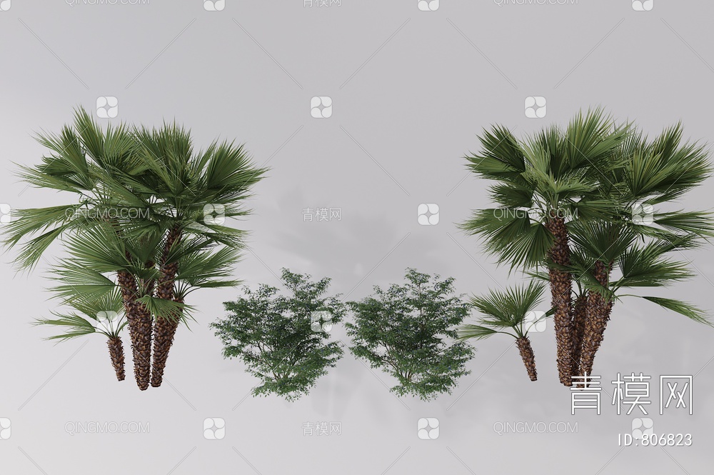 植物棕榈树3D模型下载【ID:806823】