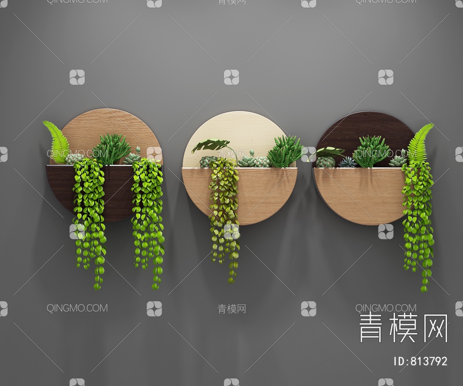 多肉植物 背景3D模型下载【ID:813792】