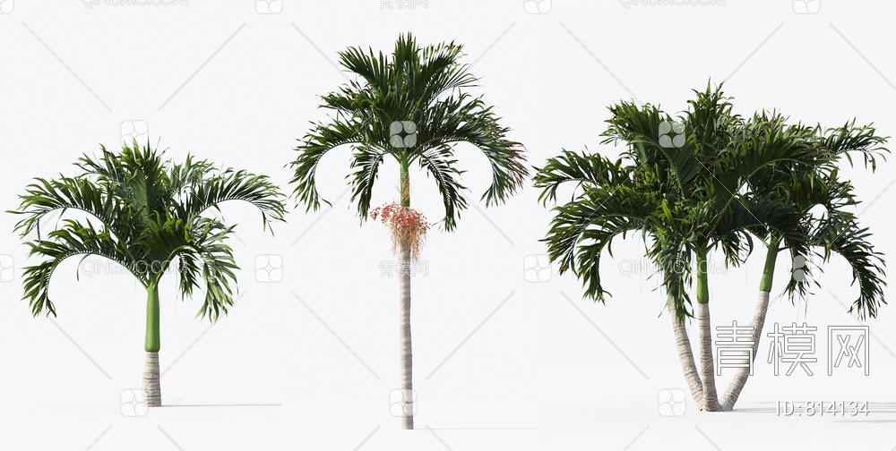 热带棕榈树 椰子树3D模型下载【ID:814134】