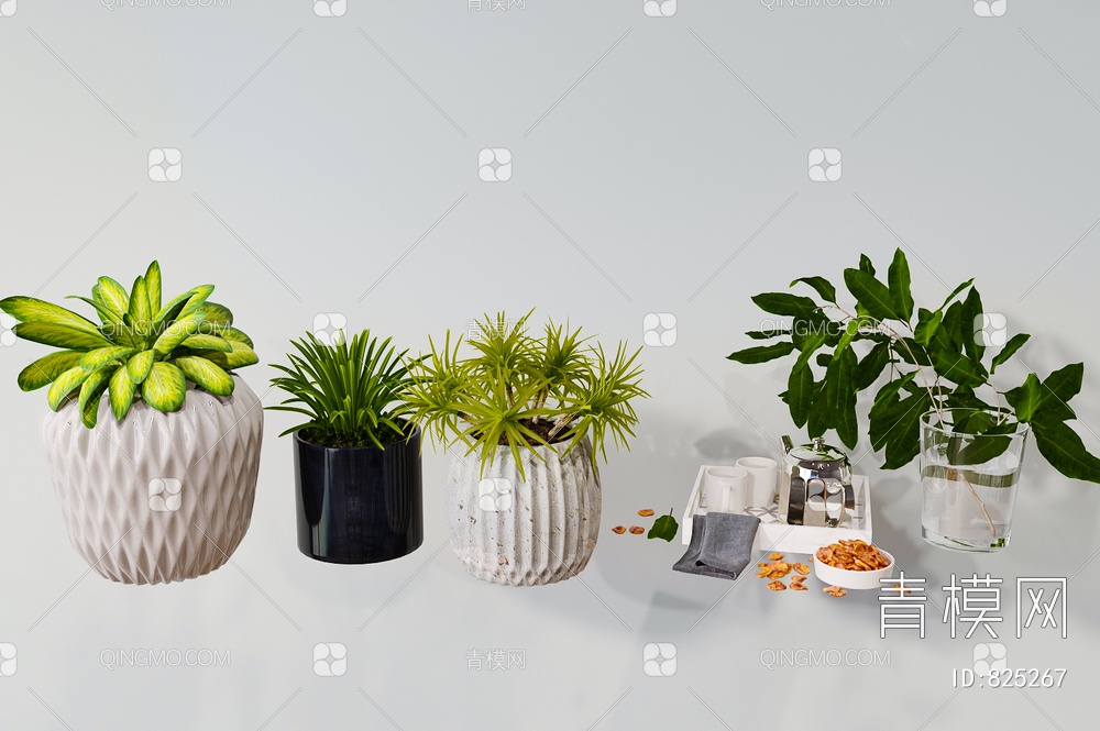 植物盆栽花瓶3D模型下载【ID:825267】