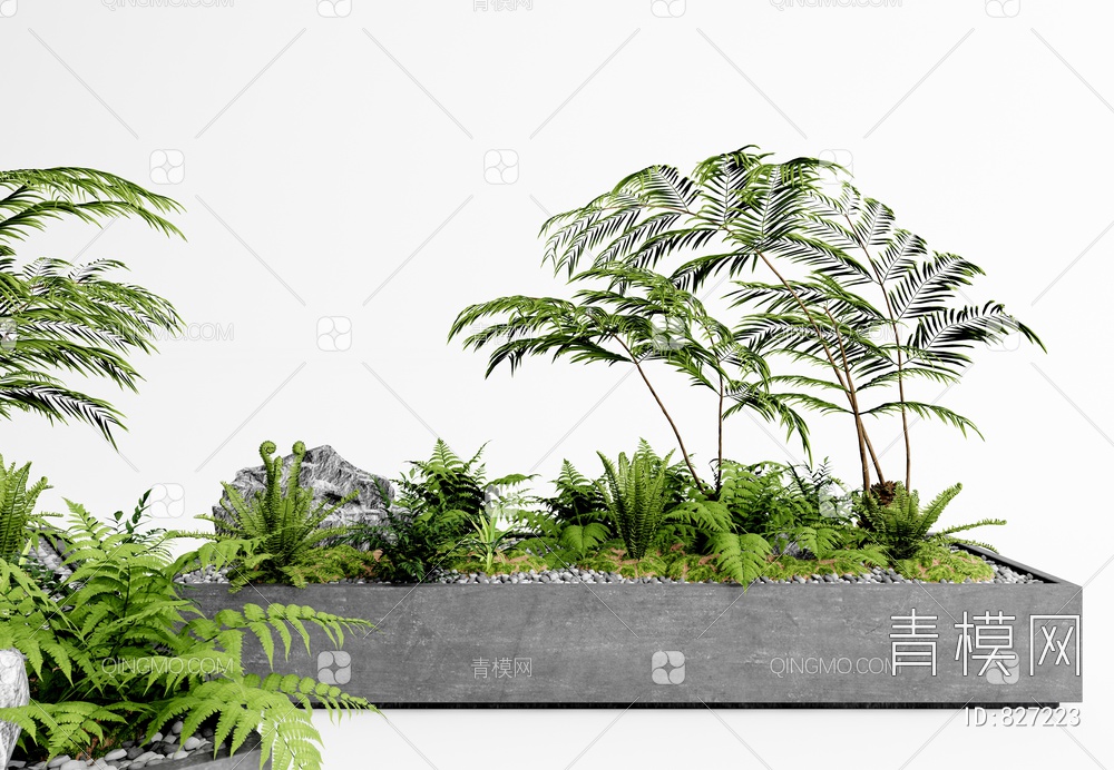 植物盆栽 蕨类盆景SU模型下载【ID:827223】