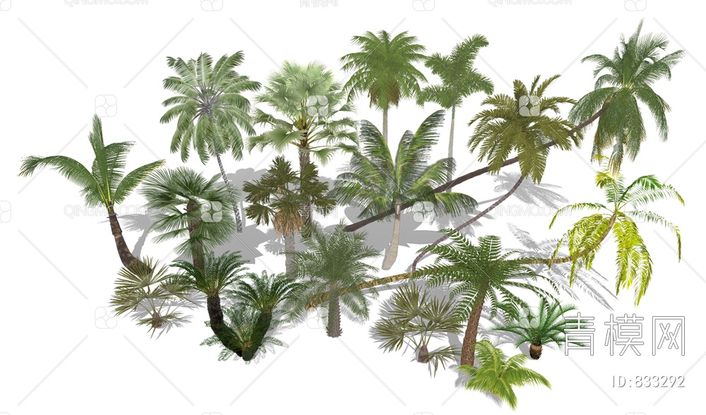 棕榈树树椰树热带植物SU模型下载【ID:833292】
