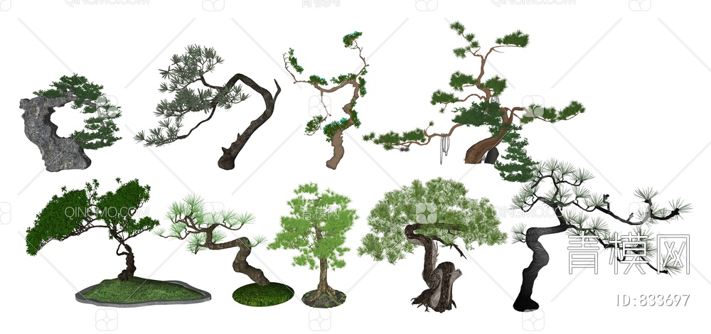 景观植物造型松、庭院禅意罗汉松SU模型下载【ID:833697】