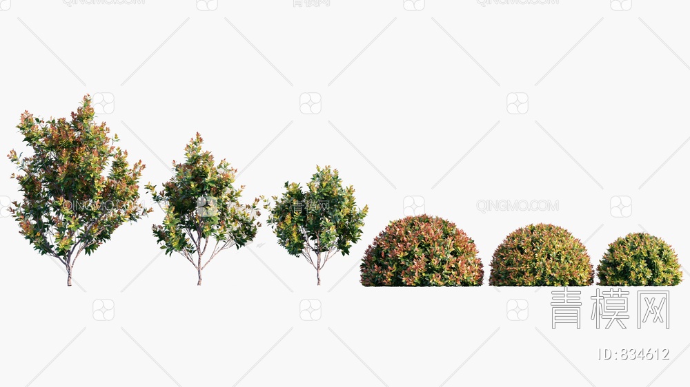 树 灌木 球形灌木3D模型下载【ID:834612】