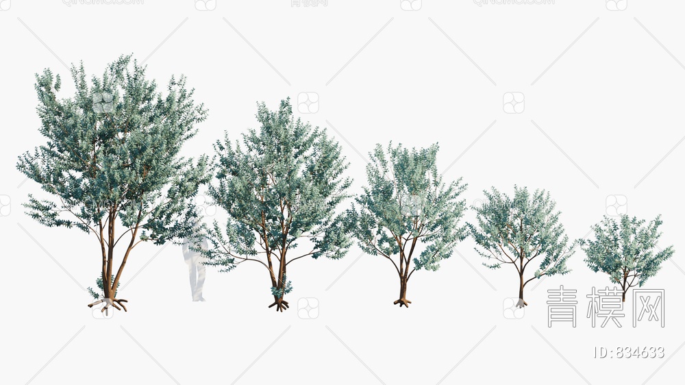 桉树 树3D模型下载【ID:834633】