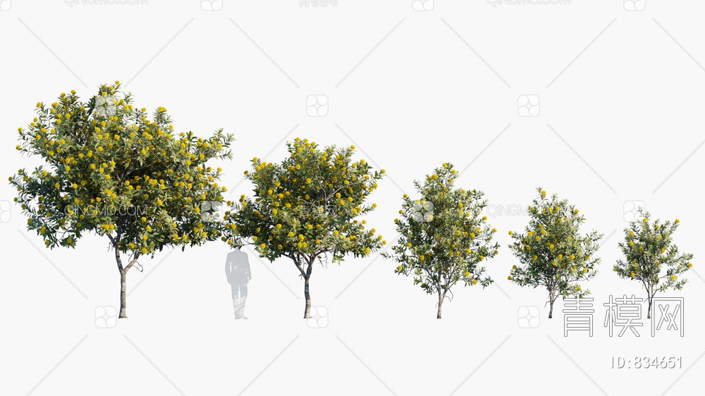 黄花树 开花树 树3D模型下载【ID:834651】