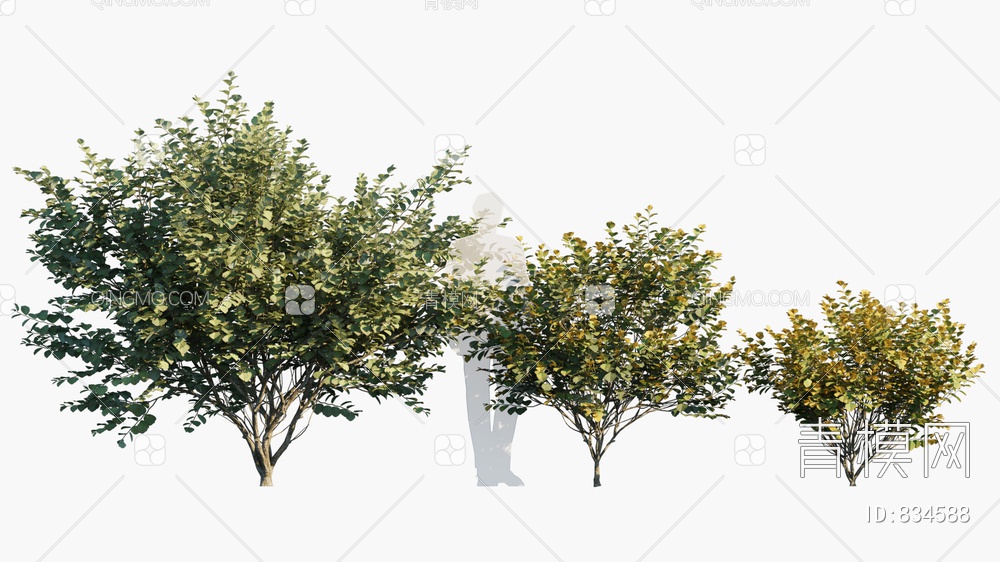 树 开花树3D模型下载【ID:834588】