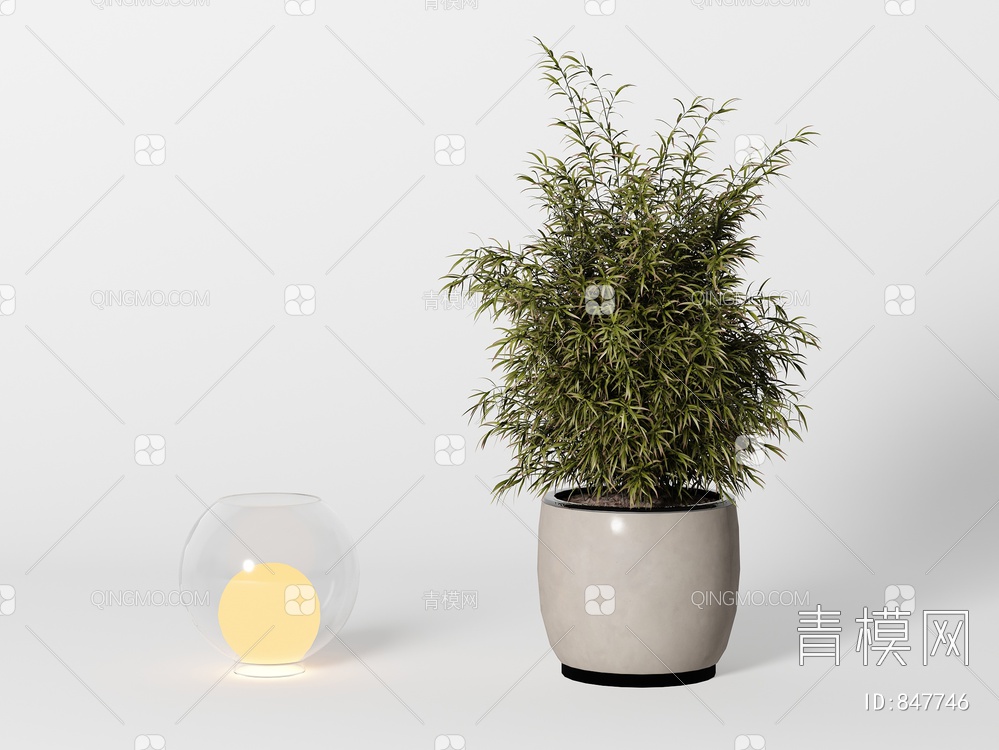 植物3D模型下载【ID:847746】
