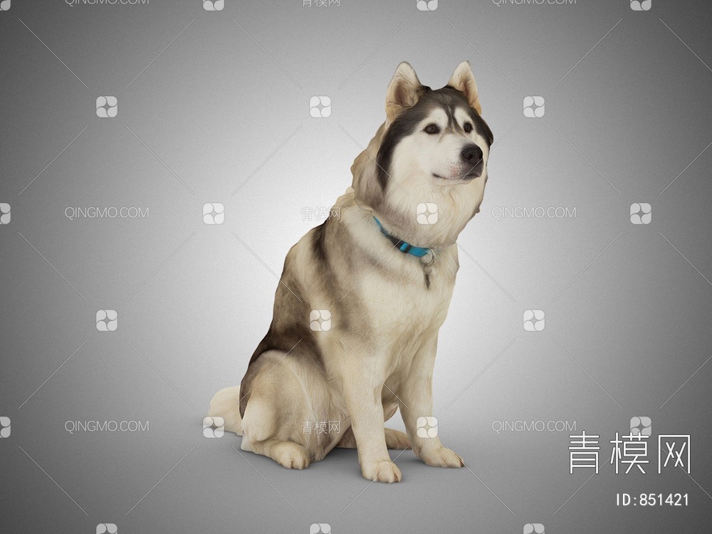宠物狗3D模型下载【ID:851421】