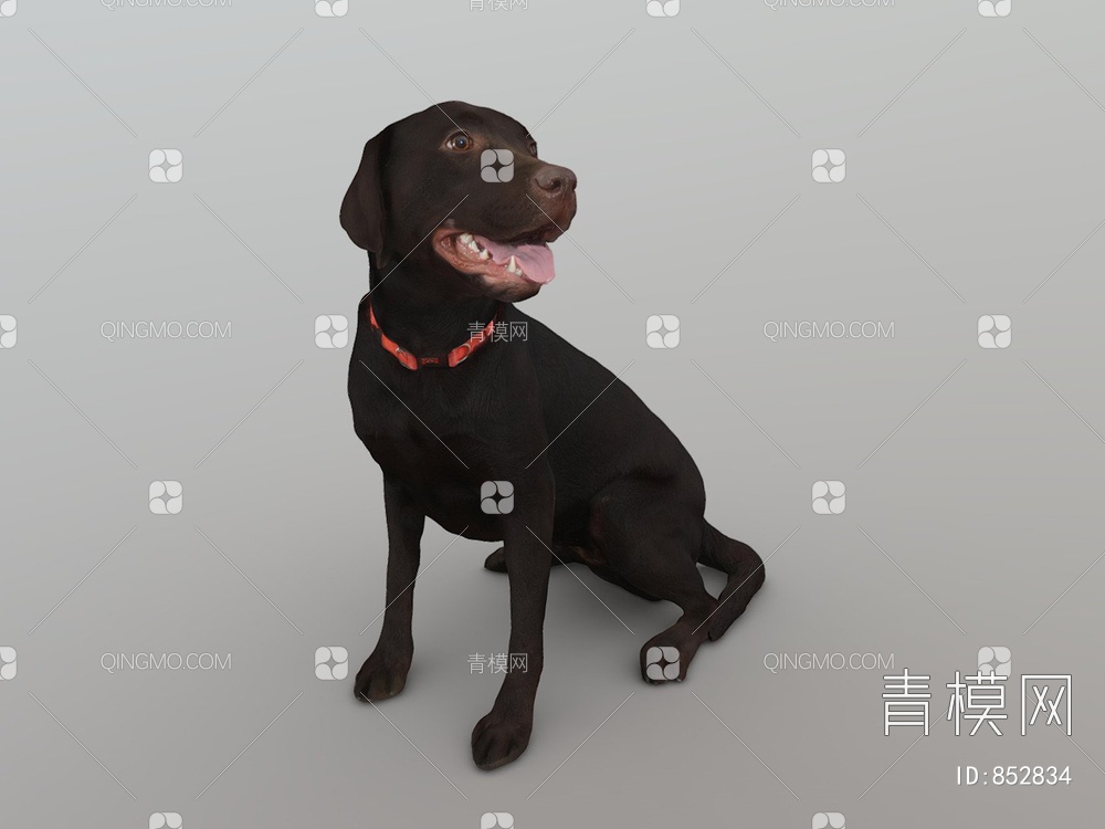 黑色宠物狗3D模型下载【ID:852834】