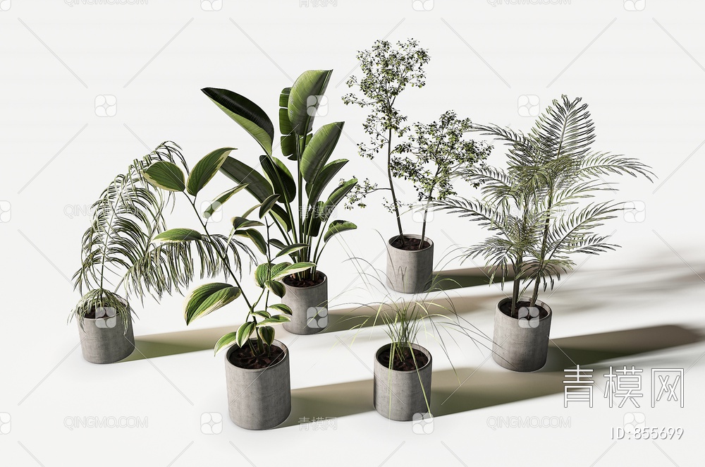 绿植盆栽3D模型下载【ID:855699】