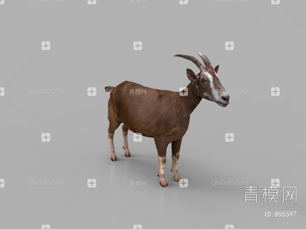 羚羊3D模型下载【ID:855597】