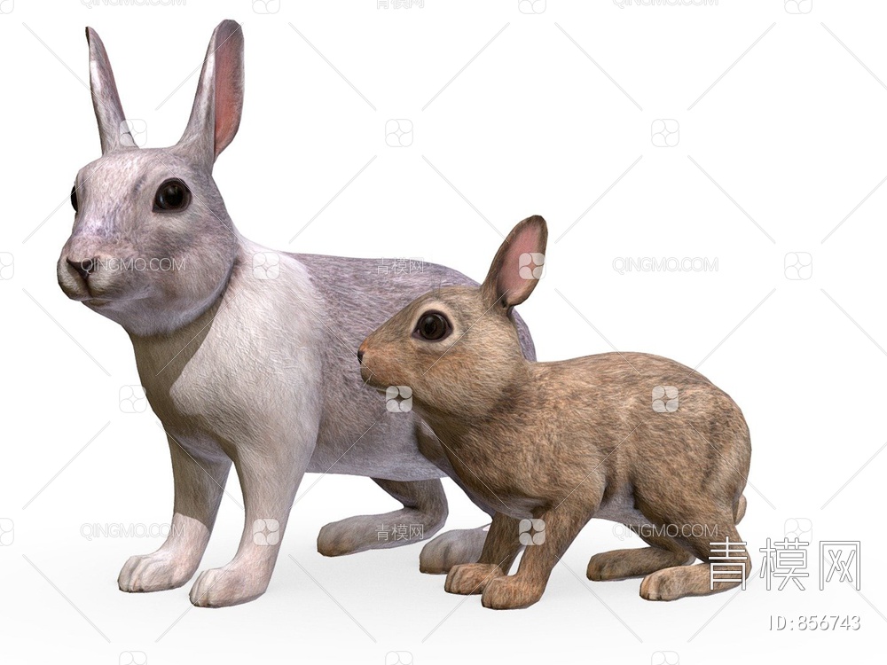 兔子3D模型下载【ID:856743】