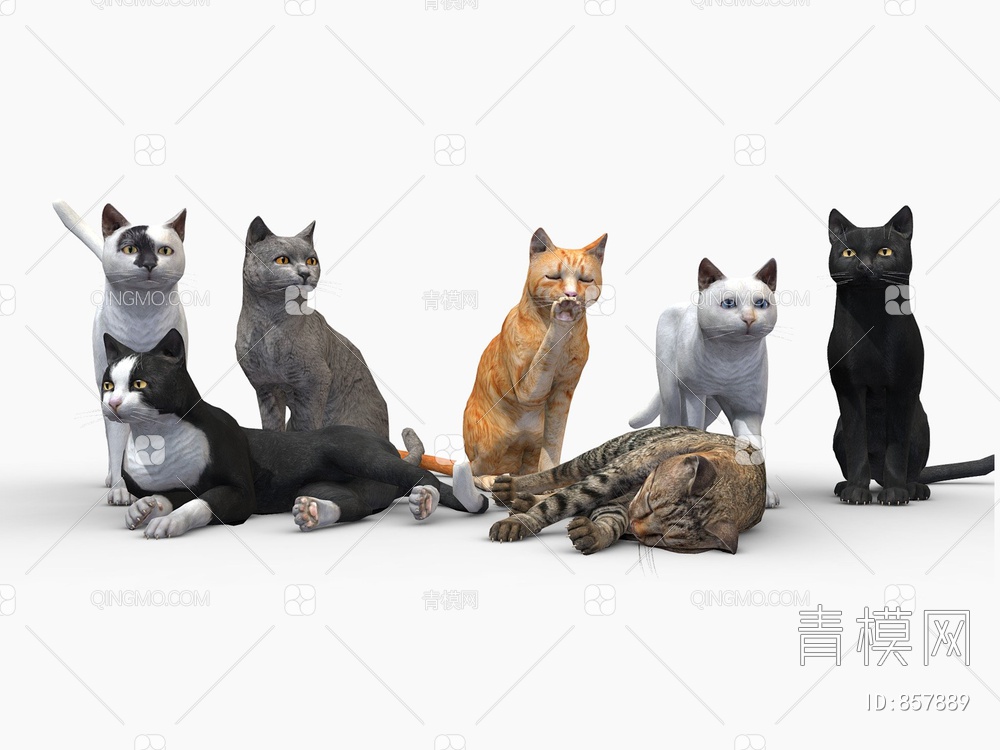 猫 动物 宠物3D模型下载【ID:857889】